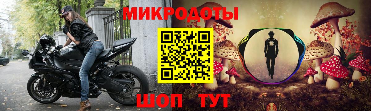 Славгород  Псилоцибиновые грибы мицелий  Вход с VPN 
